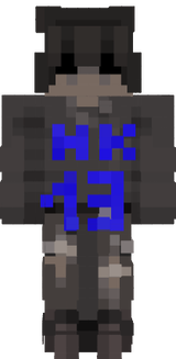 skin HK13