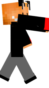 el zorro
