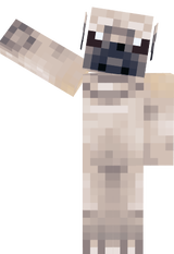pug