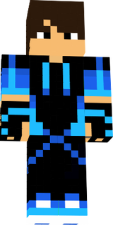 skin