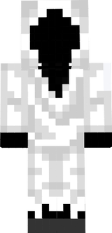 entity 303