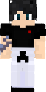 Tsugikuni padrão
