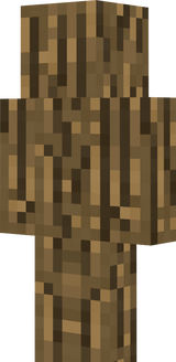 SKINN