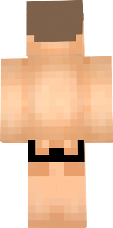 gabrysiekPvzp