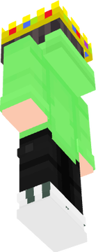 Skin 1