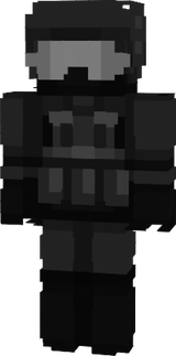 fsmm