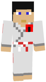 skin karateka 