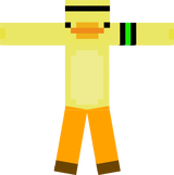 pato camisa 10