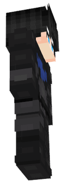 NSN