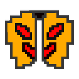 elytra