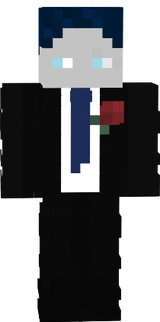 johnystein