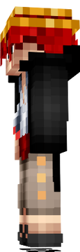 One Piece Skin