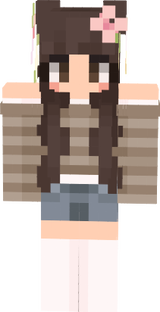 ISA 10