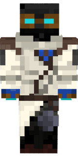TAMER