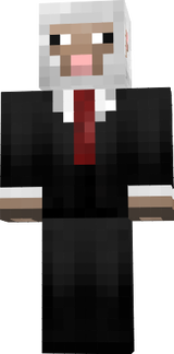 sheep