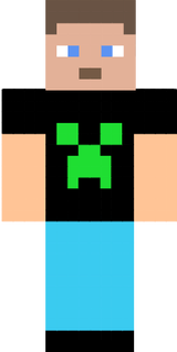 skin minecraft
