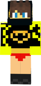 skin minecraft