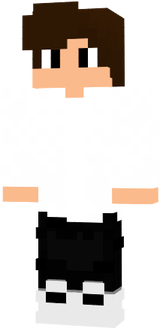 fsfs