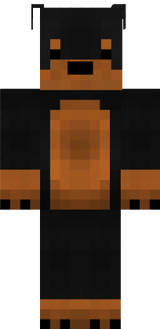 rott 2.0