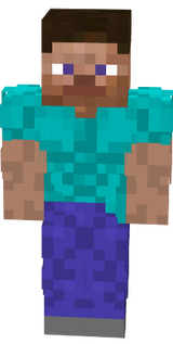 Kaslı steve
