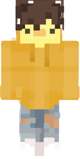 hair hoodie duck
