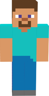 steve 3