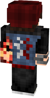 DELSIN 