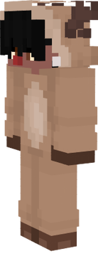 mrjonteiro