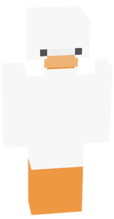 duck skin
