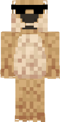 Preview of texture: ayazaligamer3