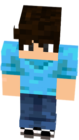 I am Steve
