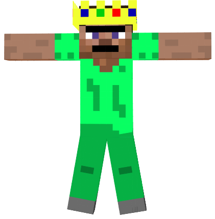 Preview of texture: roi steve