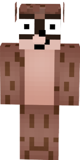 skin