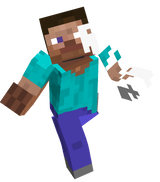 steve