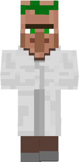 librarian