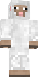 koyun