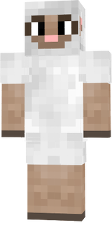 sheep