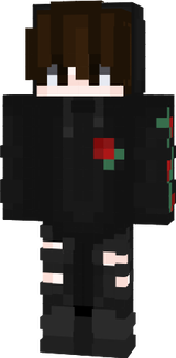 sjjsns