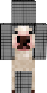 Walter