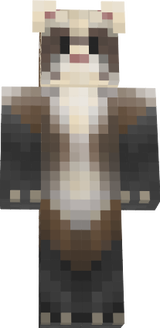 Ferret