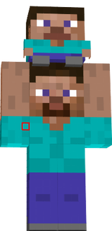 tiny steve