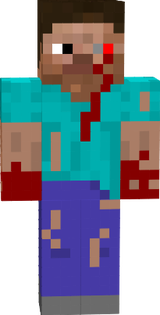 steve