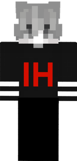 skibidi ih