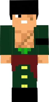 zoro 11