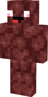 NetherStein