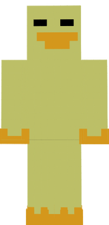 new skin