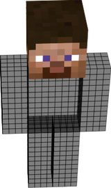steve