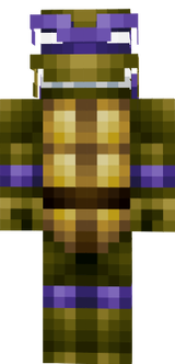 turtle ninja skin