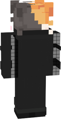 Preview of texture:  hog