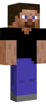 steve